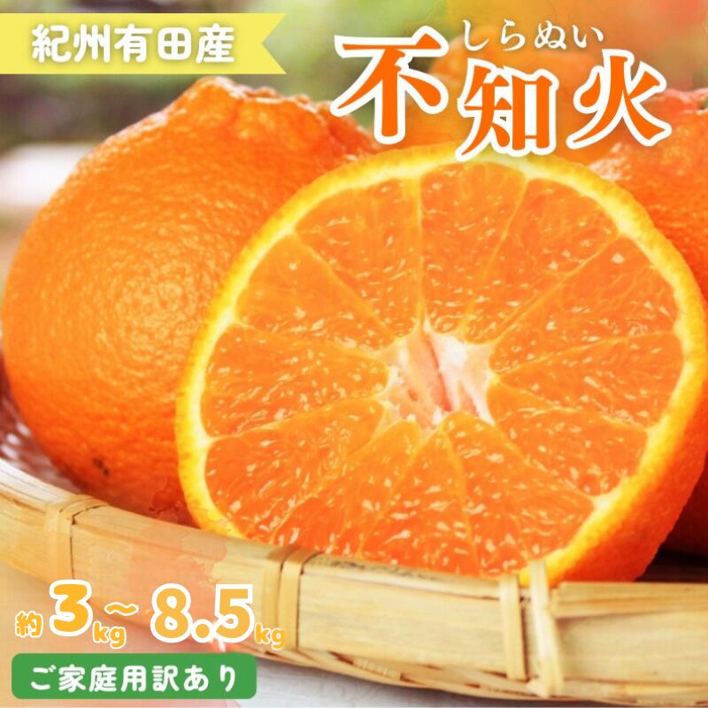 【ふるさと納税】【ご家庭用】紀州有田産 不知火(しらぬひ) 約3kg / 約6kg / 約8.5kg 訳あり 【予約】※2026年2月中旬頃〜2026年3月中旬頃に順次発送予定(お届け日指定不可) デコポン 不知火 みかん ミカン 柑橘 果物 フルーツ オレンジ くだもの