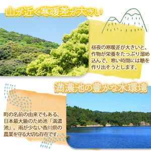 ＜先行予約！2024年6月上旬以降順次発送＞夏芽！太物（Ｌサイズ以上）さぬきのめざめ アスパラガス(約1kg・Lサイズ以上)  まんのう町 特産品 香川県 生もの 国産 アスパラガス 冷蔵 グリーン 