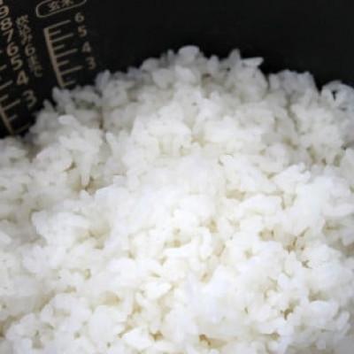 ふるさと納税 南魚沼市 玄米全粒粉が奏でるひとさじの魔法 1kg(100g×10袋) |  | 03