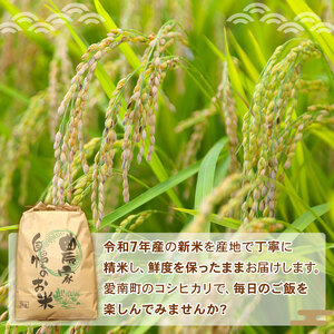 【令和7年産 先行予約】新米 令和7年産 コシヒカリ 5kg 米 お米 コメ 白米 精米  愛媛県 愛南町 