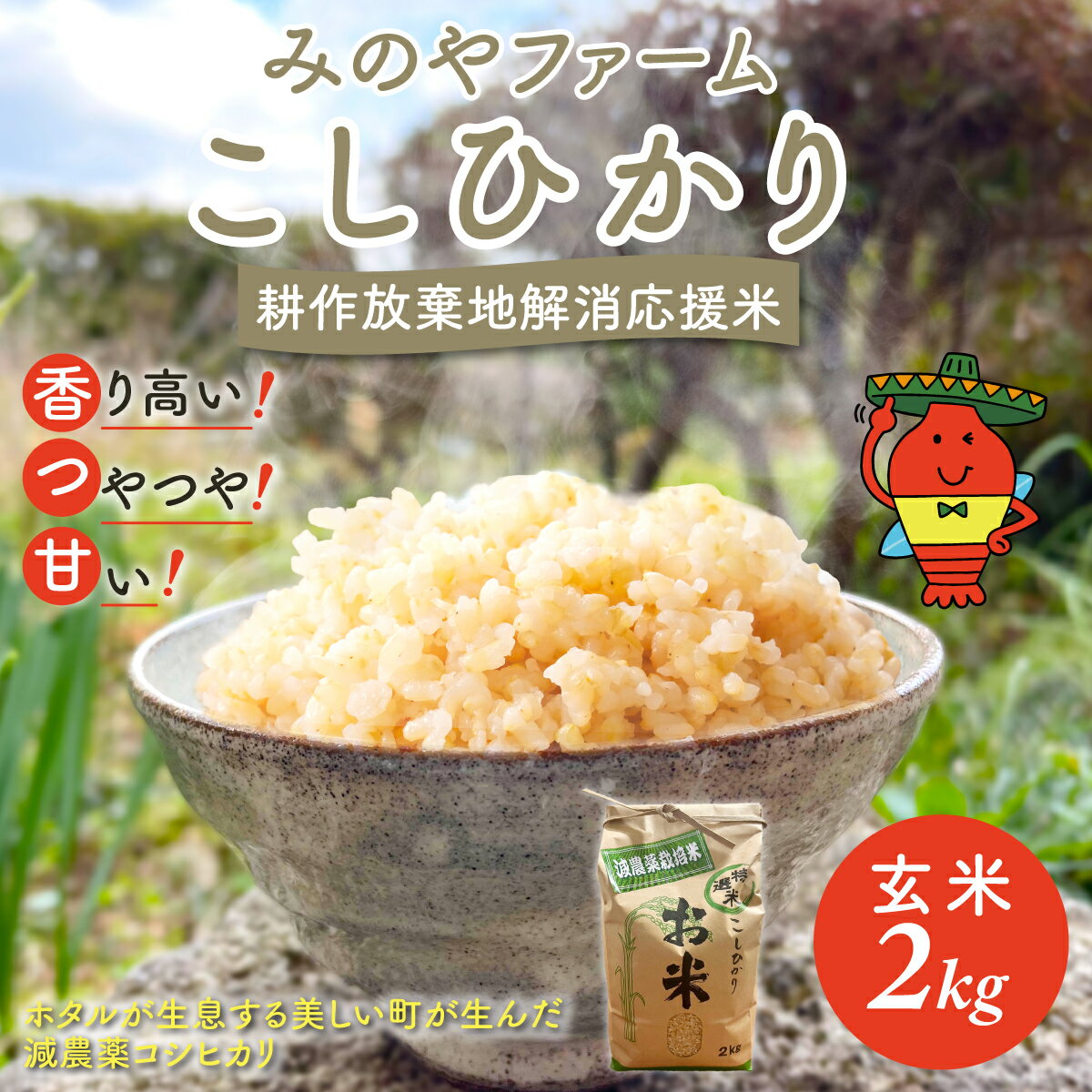 【ふるさと納税】令和8年産 こしひかり 2kg 3kg 5kg（玄米） みのやファーム 耕作放棄地解消応援米 【 コシヒカリ こしひかり おいしい お米 米 こめ 自然栽培 贈り物 ギフト 千葉県 御宿町 人気 おすすめ ランキング 】 ONJF004-006