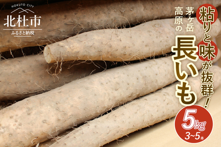 茅ヶ岳高原　粘りと味が抜群の長芋　５㎏箱 長いも 約3～5本 ながいも 山芋 野菜 とろろ 磯辺揚げ 粘り 期間限定 明野町 茅ヶ岳高原 山梨県 北杜市