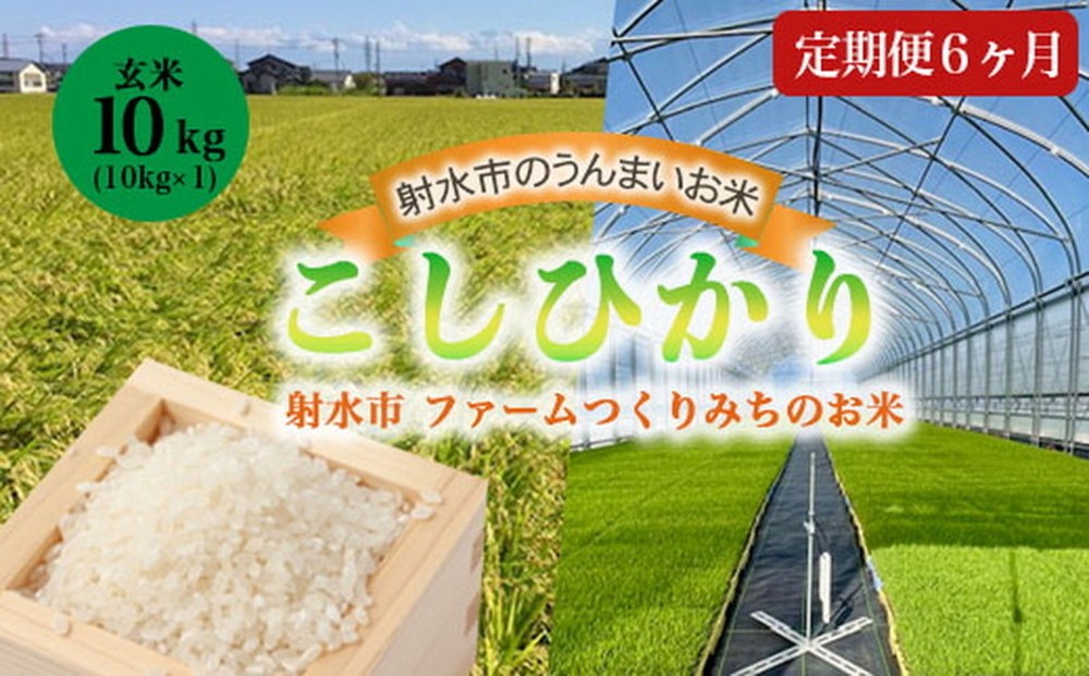 【6ヶ月定期便】【射水市】【射水の美味しいお米】ファームつくりみちのお米 作道米 R8年度産こしひかり10kg（10kg×1）【玄米】 | 米 こめ コメ こしひかり ブランド米 銘柄米 人気 ランキング 富山 富山米 北陸 北陸米 富山コシヒカリ 北陸コシヒカリ 玄米コシヒカリ 10キロ 10キロ米 10kg 10kg米 ※離島への配送不可