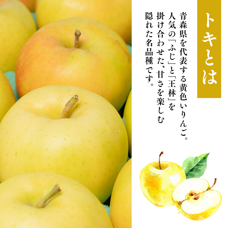 年内発送 贈答用トキ約5kg（糖度証明書付き）　【那由多のりんご園・平川市産】