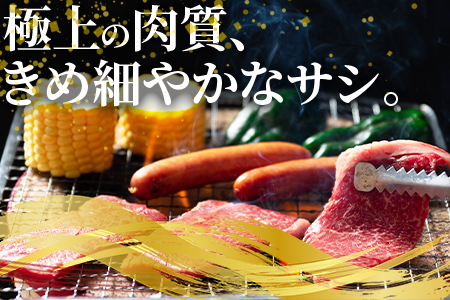 ＜宮崎牛ウデ焼肉と宮崎県産和牛小間切れ 総量600g＞【数量限定】【MI141-my】【ミヤチク】