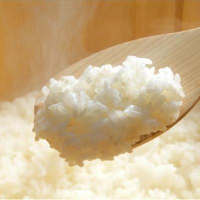 ふるさと納税 田尻町 【9kg】金芽米 4.5kg×2袋(無洗米)　金芽米計量カップ付 |  | 01