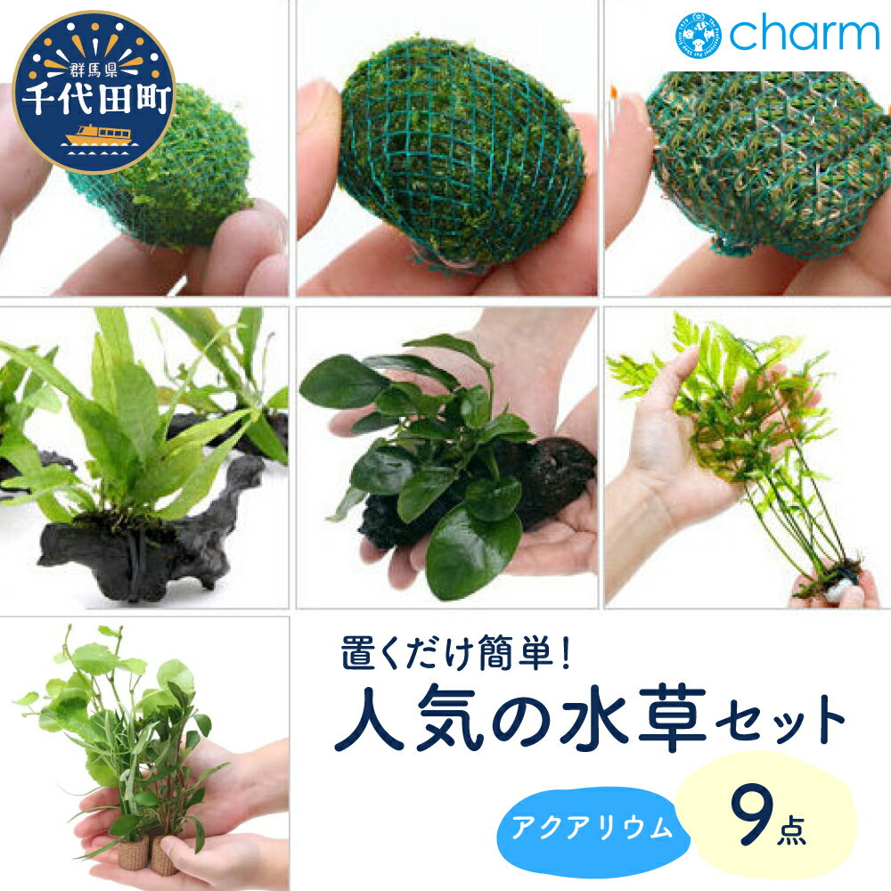 【ふるさと納税】水草 置くだけ 簡単 人気 の水草 9点 セット インテリア ナチュラル 自然 リラクゼーション 室内栽培 プレゼント 送料無料 趣味 緑 人気 オススメ 初心者 玄関 リビング キッチン 水槽 アクアリウム 水上葉 株式会社チャーム