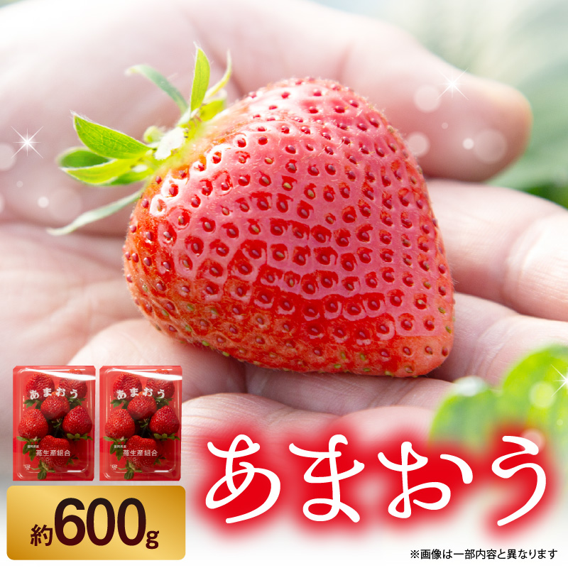 苺（あまおう）2パック入り ＜配送不可：北海道・沖縄・離島＞  いちご 苺 イチゴ 旬 あまおう ブランド くだもの 福岡県 八女市