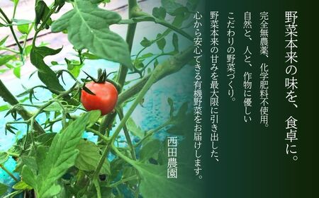 有機栽培 ミニトマト 1.2kg 6月～順次配送 ミニトマト 