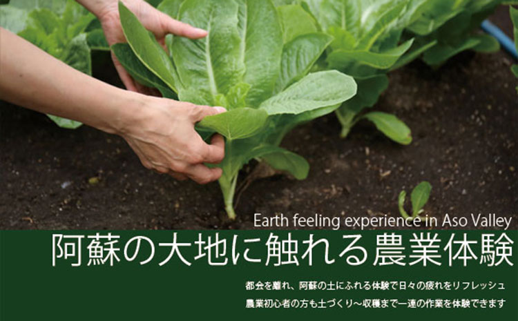 阿蘇蔵農園 阿蘇のカルデラで農業体験＆お散歩 野菜スムージー・お弁当あり