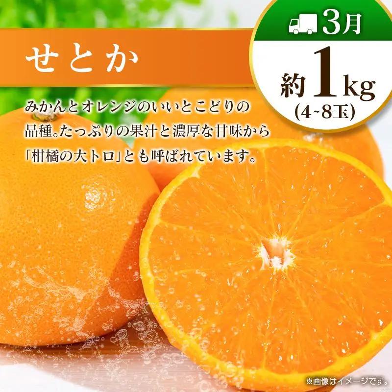 【奇数月 6回定期便】旬 人気 フルーツ 南国宮崎産 マンゴー ピオーネ いちご みかん メロン 柑橘 ぶどう 果物 詰め合わせ 宮崎県 九州＜B-1コース M210＞