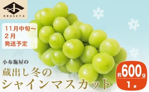 先行受付 蔵出し冬のシャインマスカット 約600g 1房 ［小布施屋 ］長野県 ぶどう フルーツ 果物 冷蔵便 クール便 令和8年産【2026年11月中旬～2027年2月発送】［A-706］