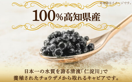 高知産熟成 キャビア キャビアフィッシュペースト 贈答セット / キャビアサメ 料理【興洋フリーズ株式会社】 [ATBX011]
