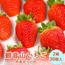 【ふるさと納税】【先行予約】和歌山県産 観音山いちご（特選まりひめ）30玉 有限会社柑香園 【日付指定不可】《2025年1月末-3月上旬出荷》 和歌山県 紀の川市 苺 フルーツ 果物