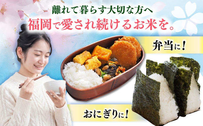 お米 ブランド米 ご飯 ごはん 米 お米 おこめ 弁当 お弁当 お米 白米 県産米 国産米 精米 新生活 お祝い ギフト 仕送り