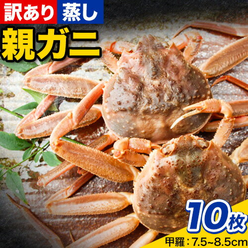 【ふるさと納税】【蒸し】訳あり 足折れ 日本海産 親ガニ セコガニ 10枚(甲羅のサイズ7.5~8.5cm) 高間商店《11月中旬-1月中旬頃出荷》鳥取県 八頭町 送料無料 カニ 蟹 かに 訳あり 足折れ 鍋 珍味 ズワイガニ