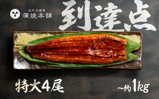 特大サイズ 国産うなぎ 蒲焼≪ 4尾 ≫ 詰め合わせ 蒲焼 ウナギ 2尾 4尾 6尾 うなぎ 鰻 ウナギ unagi 土用 丑の日 国産 国産うなぎ 若うなぎ カネナカ うなぎのカネナカ 蒲焼 タレ付 長焼 お祝い 誕生日 お歳暮 お中元 高級 プレゼント 鰻 うなぎ ウナギ ギフト