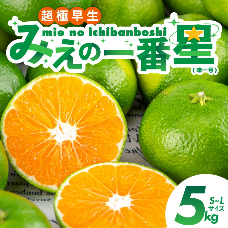 【ふるさと納税】【10月上旬～発送】JA 三重のみかん みえの一番星 (味一号) 5kg 超極早生【基準をクリアした三重ブランド みえの一番星】