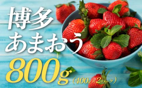 AB144.★限定品★あまおう（４００ｇ×２パック）／２０２７年１月下旬～４月発送