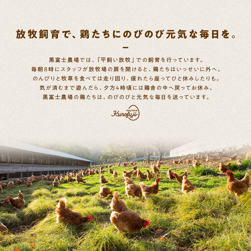 黒富士農場の卵食べ比べセット 計18個　卵 たまご タマゴ 玉子 鶏卵 生卵 さくら卵 食べ比べセット 食べ比べ 黒富士農場 新鮮 自然卵 放牧卵 たまごかけご飯 平飼い オーガニック 冷蔵 山梨県 