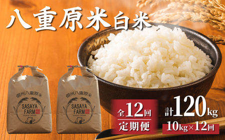 【寄附額改訂↓】令和8年新米予約【12回定期便】東御市産 八重原米10kg（5kg×2袋）合計120kg 白米 コシヒカリ 特A米 ※2026年10月以降順次発送｜笹屋農園「農薬削減長野県認証取得」先行予約 お米