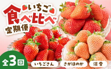 先行予約 2027年1月～発送 【3回定期便】いちご 3品種食べ比べ 白いちごも！/  いちご [IAP022]