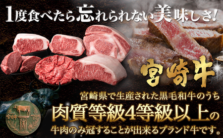 宮崎牛サーロインステーキ(200g×5枚)≪みやこんじょ快速便≫_AF-N401-R_(都城市) 宮崎県産宮崎牛 サーロインステーキ 200g 5枚 牛肉 ステーキ サーロイン