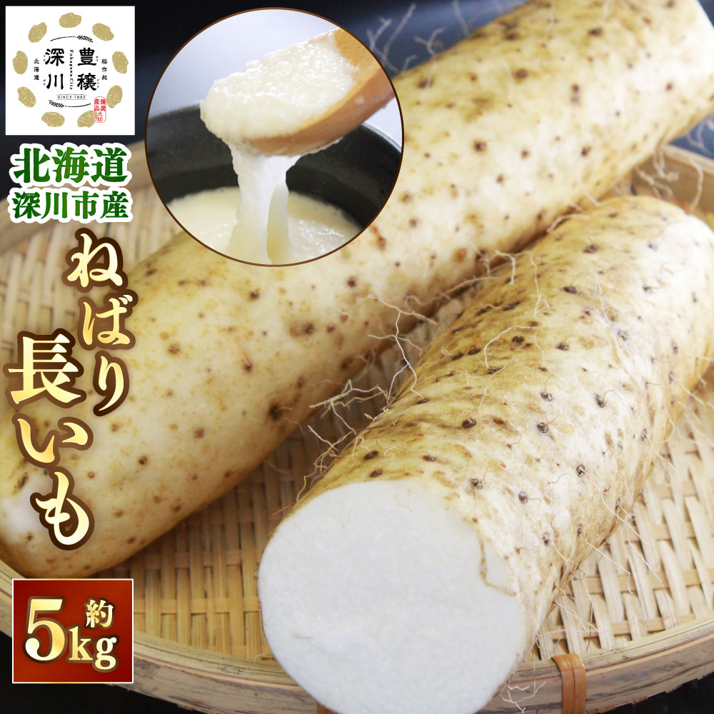 【ふるさと納税】＜令和7年産 先行受付＞ 北海道 深川市産 ねばり長いも 約5kg 野菜 やさい いも 深川市 特産品 【2025年11月上旬～11月下旬 発送予定】