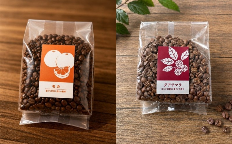 【厳選2種の6ヶ月定期便】芳醇なフルーティー飲み比べセット・自家焙煎コーヒー（豆）(グァテマラ221g、モカ285g) 珈琲