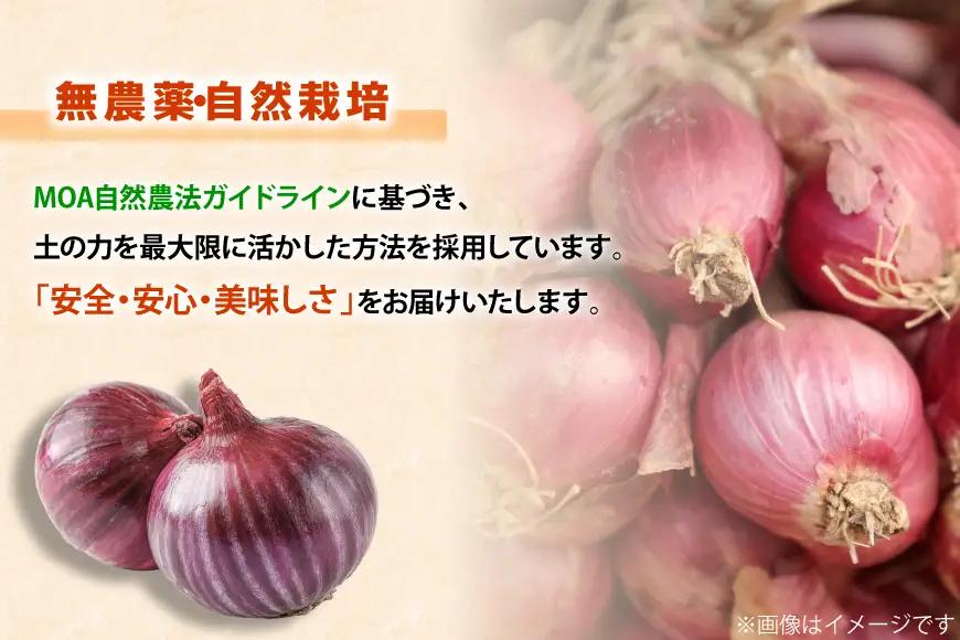 玉ねぎ 赤玉ねぎ セット 各約4kg 計約8kg