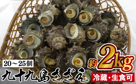 【鮮度抜群！コリコリ食感】九十九島 さざえ 2kg以上 (20～25個) 刺身はコリコリ ナイフ 説明書付き 出荷前にUV殺菌済み 週に1度ノロウイルスの検査および菌検査を実施【マルモ水産】さざえ おすすめさざえ 高評価さざえ  プリプリ