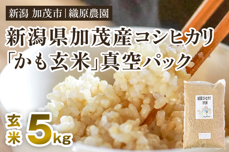 【令和7年産米】【無農薬・無化学肥料】新潟産コシヒカリ「かも米」玄米5kg （5kg×1袋）真空パック 従来品種コシヒカリ 加茂市 織原農園