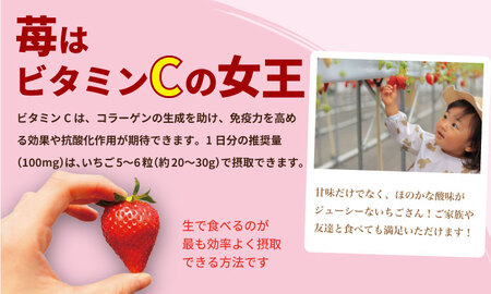 【先行予約】R9年1月下旬頃出荷開始 佐賀県産 いちごさん （ 240g×4P ）有明・潮風ファーム 直送品 果物 くだもの フルーツ イチゴ  B150-032