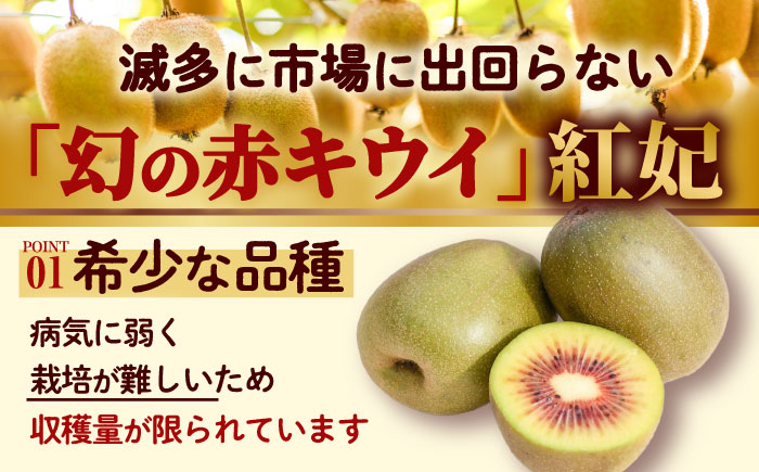 赤キウイ「紅妃」特大サイズ 1.7kg ／ キウイ キウイフルーツ 果物 フルーツ 国産 産地直送 農家直送【スマイル農園たかの】 [BKCD001]