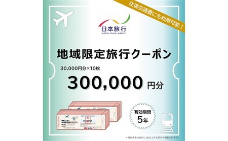 福岡県柳川市 日本旅行 地域限定旅行クーポン300,000円分（30,000円分×10枚）旅行クーポン 旅行 観光 クーポン 家族旅行 柳川市