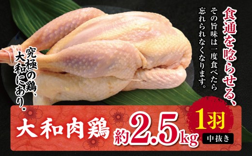 AM13 大和肉鶏 中抜き 約2.5kg 1羽 | 大和かしわ 鶏 肉 にく かしわ 鶏肉 とり 奈良県 大淀町