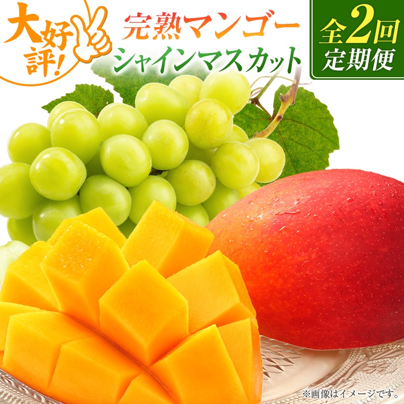 【定期便・全2回】完熟マンゴーとシャインマスカット定期便（マンゴー 完熟マンゴー アップルマンゴー ブドウ ぶどう マスカット 定期便）