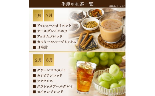 【全6回定期便】京都の紅茶専門店より世界のおススメ紅茶５種セット