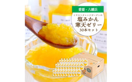 ゲル化剤・pH調整剤不使用!愛媛産 塩みかん寒天ゼリー 30本セット＜H25-241＞【1630033】