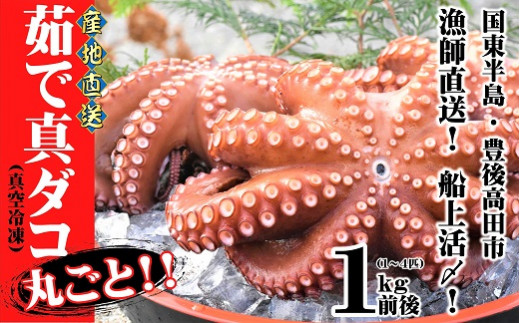 船上活締め！！ゆで真ダコ丸ごと（1～4匹）約1kg