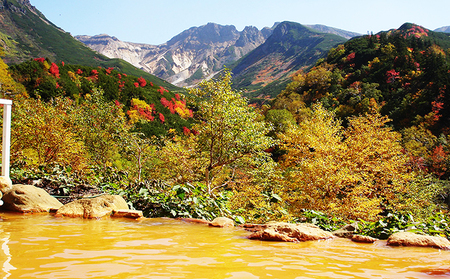 湯元凌雲閣【 1泊2食付 】 宿泊券 ホテル 旅館 旅行 旅行券 チケット 北海道 上富良野町 十勝岳