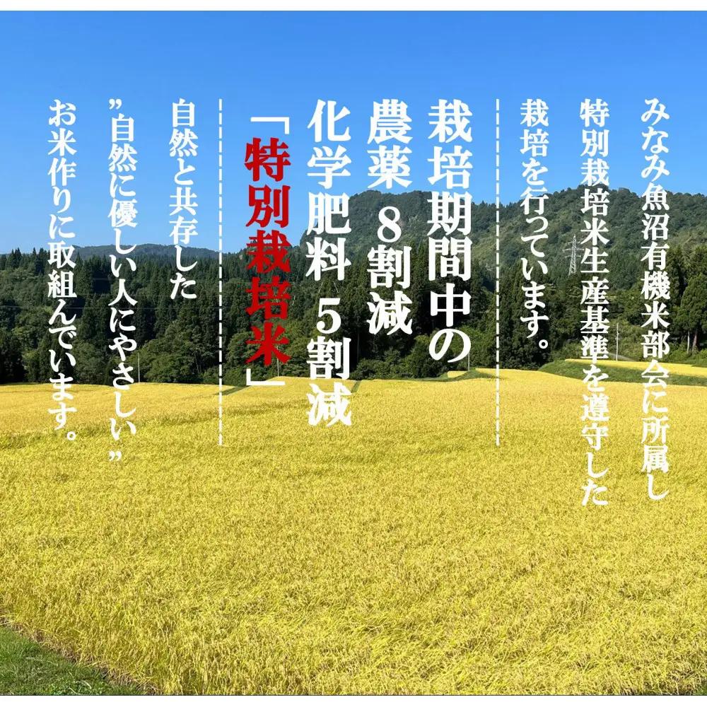 令和8年新米予約定期便【天水棚田米】特別栽培米雪蔵熟成塩沢産コシヒカリ精米5kg6回「とやの里山継承プロジェクト」｜コシヒカリ【2026年10月下旬より順次発送予定】