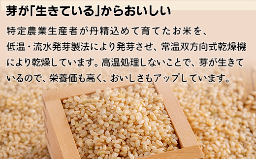 北海道米の発芽玄米「ななつぼし・ゆめぴりか」食べ比べセット（500g×2種×5セット)計5kg MKWAH011