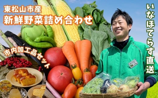 東松山市産季節の野菜と市内産加工品詰合せセット | 野菜 野菜セット 詰め合わせ 季節 旬 新鮮野菜 かぶ レタス キャベツ のらぼう菜 トマト オクラ 玉ねぎ ニンニク きゅうり ナス ニンジン ネギ ズッキーニ インゲン バラエティ バラエティーセット 梨ゼリー パウンドケーキ せんべい おいしい 美味しい うまい 旨い 自然 いなほてらす 埼玉県 東松山市
