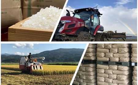 【令和7年産先行予約】 特別栽培米 Gセレクション 雪若丸 白米 12kg (6kg×2袋) 山形県鶴岡市産　株式会社グラノフ