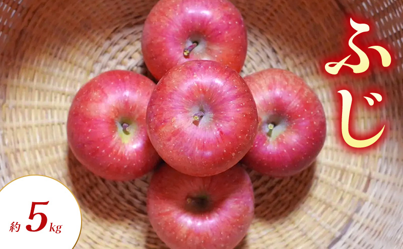 ふじ 約5kg りんご リンゴ 林檎 果物 フルーツ 長野県 長野 山ノ内町