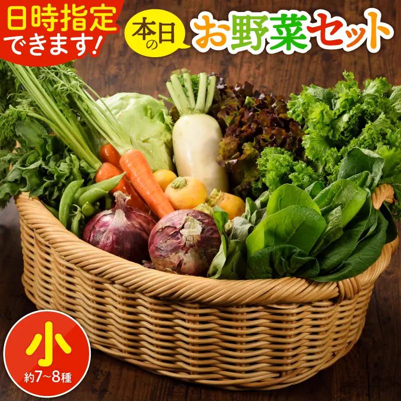 日時指定OK！本日のお野菜セット 〈小サイズ/約8～10種〉 産地直送 野菜詰め合わせ 有機栽培 野菜 野菜セット 野菜 【オーガニックのまち 宮崎県綾町】_A0053-0011