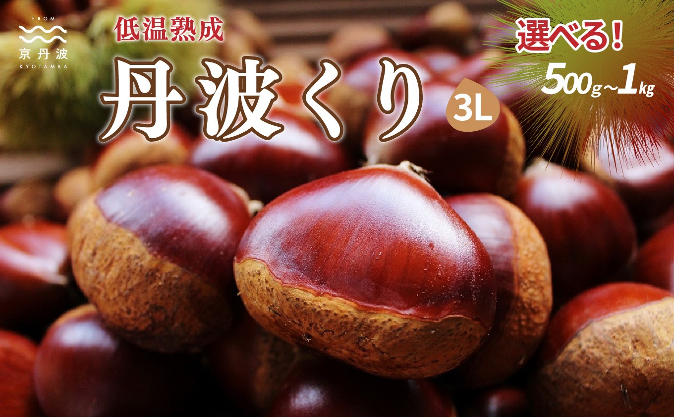 
                  ≪ 数量限定 ≫低温熟成 丹波くり 3Lサイズ 選べる 500g 1kg 京丹波町産 国産 京都 丹波 和栗 熟成 栗 くり 甘い 栗ごはん 秋の味覚 ※北海道・沖縄への配送不可 [015NK001LX]
                