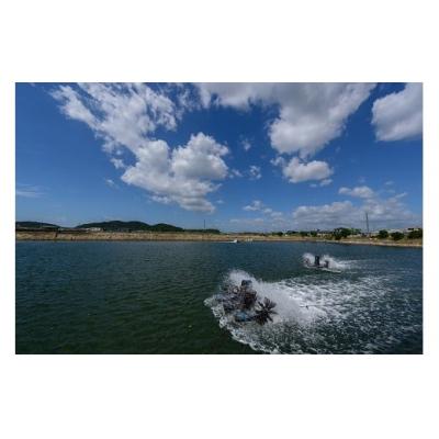 ふるさと納税 山口市 秋穂産活き〆冷凍車海老(あいおえび)400g(8〜14尾)【養殖】D238 |  | 03