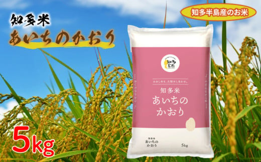 知多米 あいちのかおり 5kg 米 愛知  知多 特産品 南知多